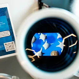 Mote SEA Drop-In Science