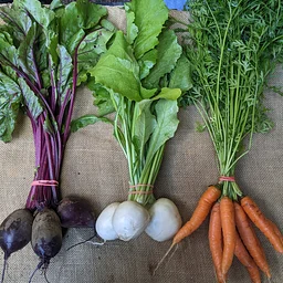 2026 Late Fall CSA Sign-up