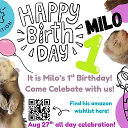 Milo's First Birthday Party