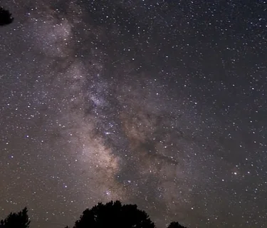 Welcome to the Milky Way