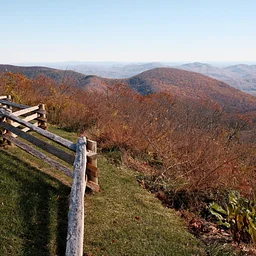 Living with Nature at Wintergreen Hikes- November 28, 2026