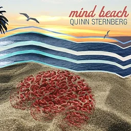 Quinn Sternberg's Mind Beach