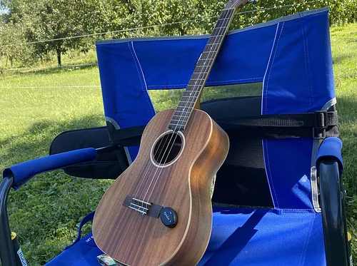 Newark Ukesters Strum