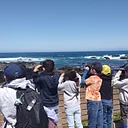 Harbor Seal Spotting Station (Copy)