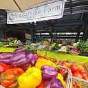 Bellingham Farmers Market at the Depot Market Square