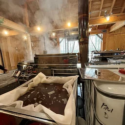 From Sap to Syrup