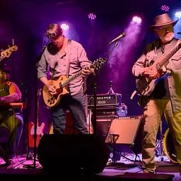 The Hoots @ The Bar(n) at Sonark Farms