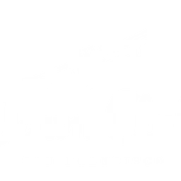 Dawn Club