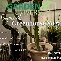 Garden University: Tropical Greenhouse Yoga
