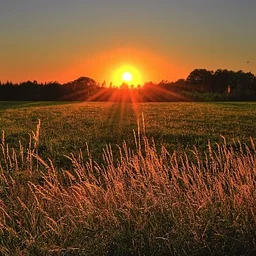 Fall Equinox