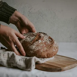 Sourdough 101 at the Olive Free Library