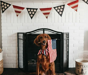 Closed 4th of July
