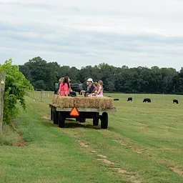 Fall Hayrides