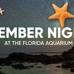 Member Night