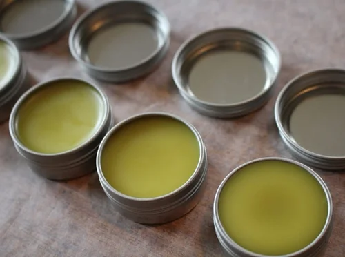 Devil’s Club Salve Making: An outdoor workshop