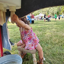 Big Shoal Country Fair