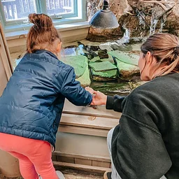 Family Feed
