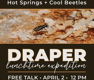 Lunchtime Exhibition: Hot Springs and Cool Beetles