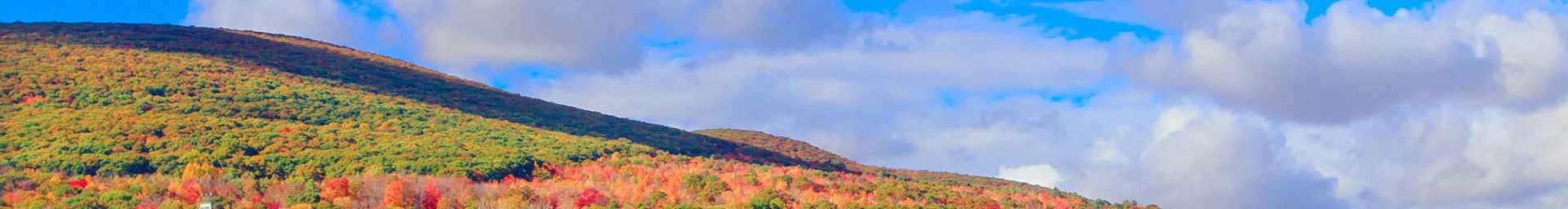 Discover North Adams