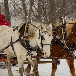Christmas at Lorenzo: A Victorian Holiday