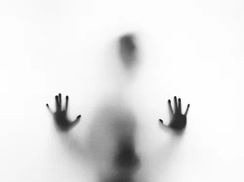 What Fearful Shadows: Preview Reception