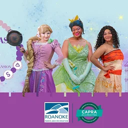 Whimsical Wishes Royal Eras Princess Party: The 2010’s Era