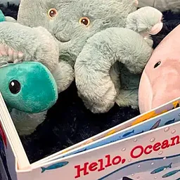 Story Hour Wednesdays at The Sailing Museum