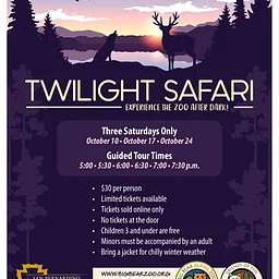 Twilight Safari