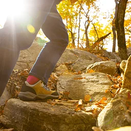 Fall Foliage Hike