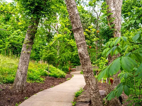 Tree Talk & Tour