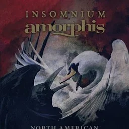Insomnium & Amorphis