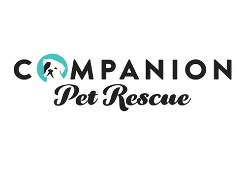 Companion Pet Rescue at PetSmart, Orange