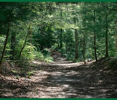 Beebe Woods Walk & Talk with the 300 Committee Land Trust