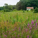 Women’s Walk