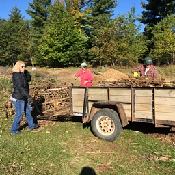 Fall Clean Up - Volunteer Day