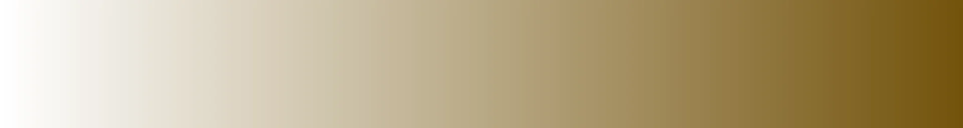 History Museum at the Castle