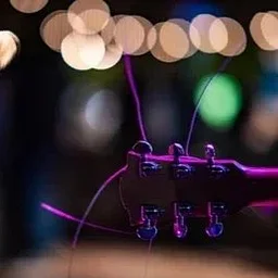 Live Music: Anika Stone