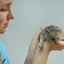 Junior WILD! Keepers: Summer Session 2 (2-day session)