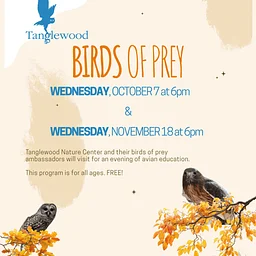 Tanglewood Nature Center: Birds of Prey