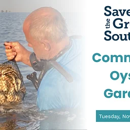 Save the Great South Bay: Community Oyster Gardens