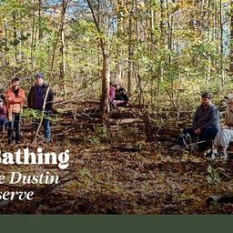 Forest Bathing