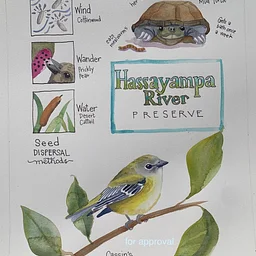 Nature Journaling in Watercolor