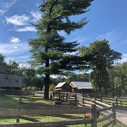 Animals for All: Heckscher Farm Open Evening