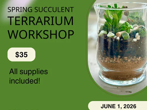 Spring Succulent Terrarium Workshop with Happy Craftr