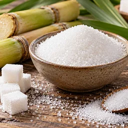 Added vs. Natural Sugars Lunch & Learn
