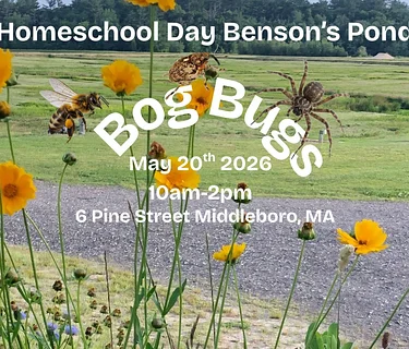 Homeschool Bog Bug Day (Middleborough)