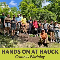 Hands On at Hauck