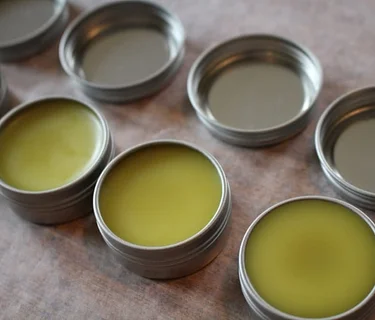 Devil’s Club Salve Making: An Outdoor Workshop at Matanuska River Park