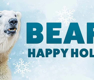 Beary Happy Holidays (2026)