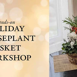 Holiday Houseplant Basket